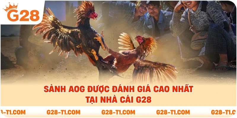 Sảnh AOG được đánh giá cao nhất tại nhà cái G28